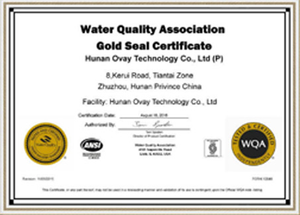 Technology International Certifications (1)
