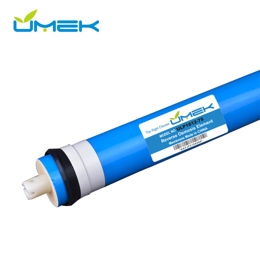 Filmtec RO Membrane Replacement